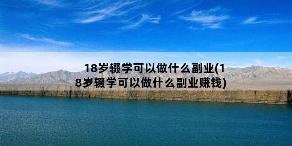 18岁辍学可以做什么副业(18岁辍学可以做什么副业赚钱)
