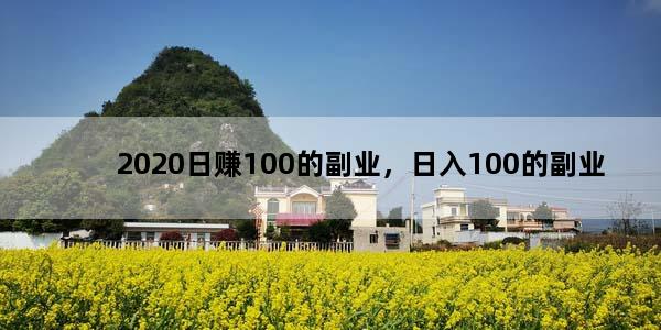2020日赚100的副业，日入100的副业