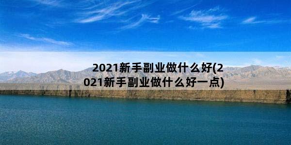 2021新手副业做什么好(2021新手副业做什么好一点)