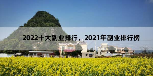 2022十大副业排行，2021年副业排行榜
