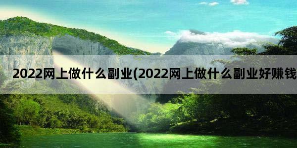2022网上做什么副业(2022网上做什么副业好赚钱)