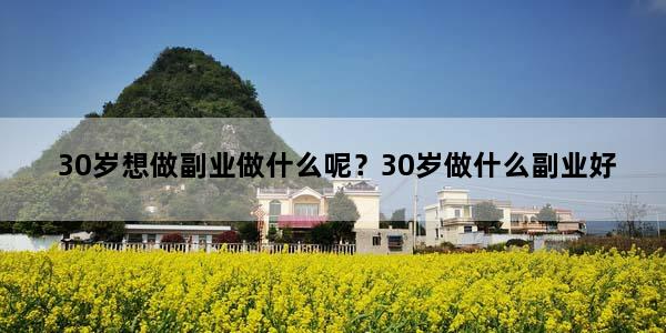 30岁想做副业做什么呢？30岁做什么副业好