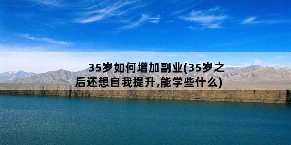 35岁如何增加副业(35岁之后还想自我提升,能学些什么)