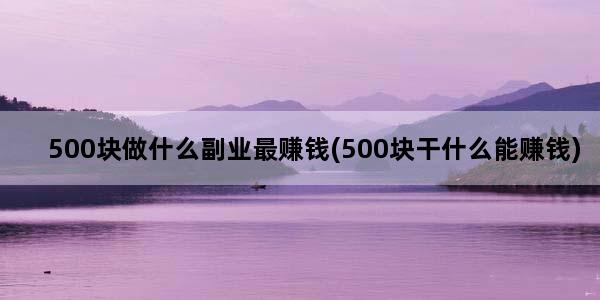 500块做什么副业最赚钱(500块干什么能赚钱)