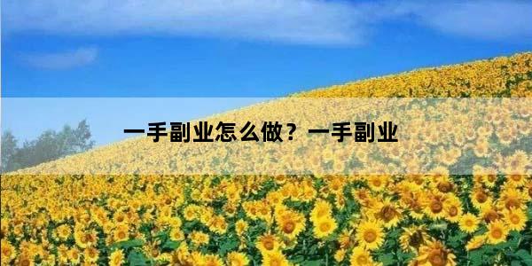 一手副业怎么做？一手副业