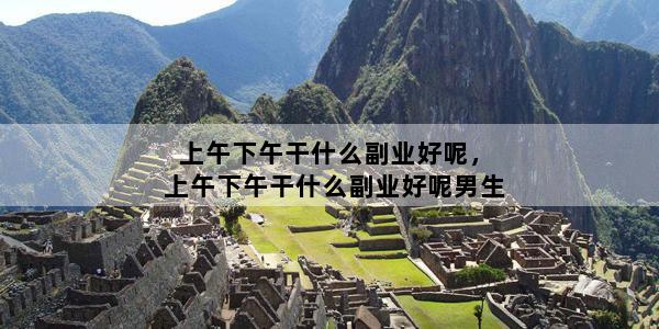 上午下午干什么副业好呢，上午下午干什么副业好呢男生