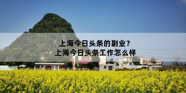 上海今日头条的副业？上海今日头条工作怎么样