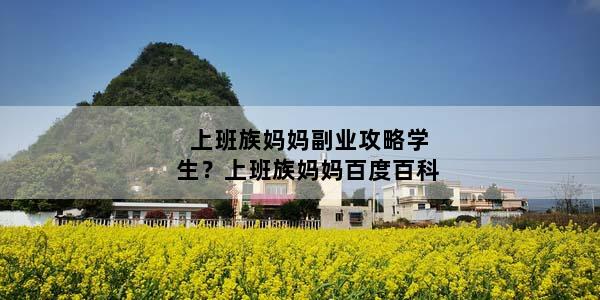 上班族妈妈副业攻略学生？上班族妈妈百度百科