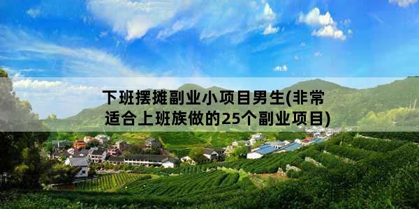 下班摆摊副业小项目男生(非常适合上班族做的25个副业项目)