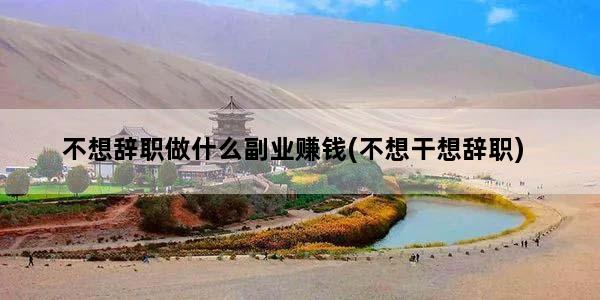 不想辞职做什么副业赚钱(不想干想辞职)