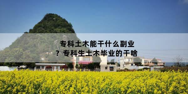 专科土木能干什么副业？专科生土木毕业的干啥