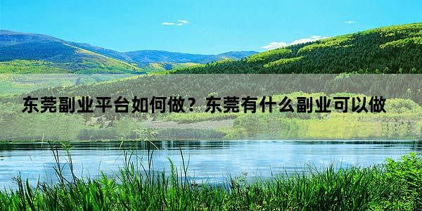 东莞副业平台如何做？东莞有什么副业可以做