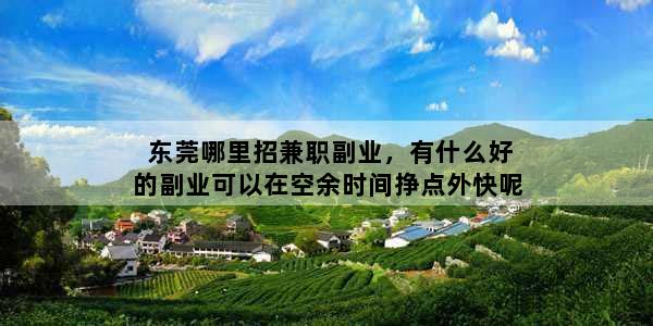 东莞哪里招兼职副业，有什么好的副业可以在空余时间挣点外快呢