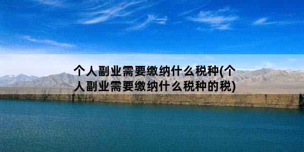 个人副业需要缴纳什么税种(个人副业需要缴纳什么税种的税)