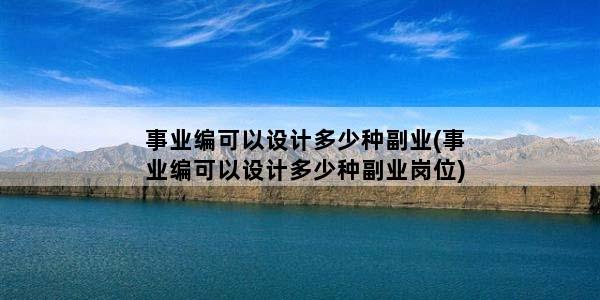 事业编可以设计多少种副业(事业编可以设计多少种副业岗位)