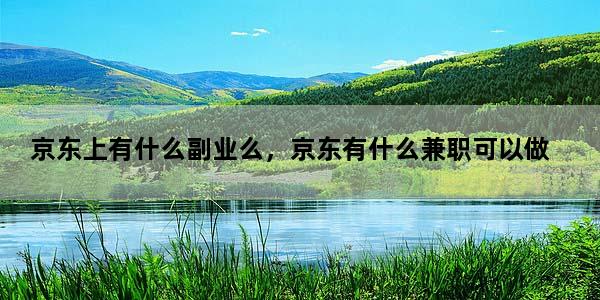 京东上有什么副业么，京东有什么兼职可以做