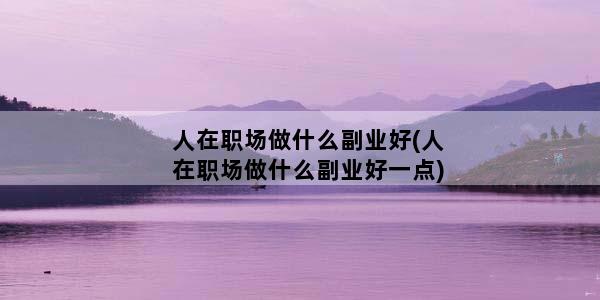 人在职场做什么副业好(人在职场做什么副业好一点)