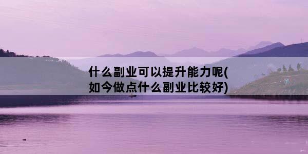 什么副业可以提升能力呢(如今做点什么副业比较好)
