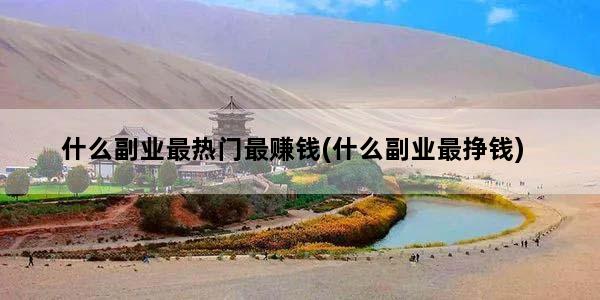 什么副业最热门最赚钱(什么副业最挣钱)