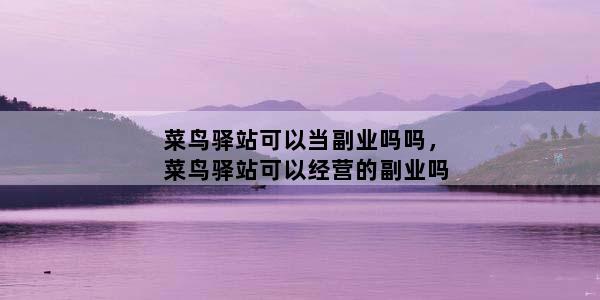 菜鸟驿站可以当副业吗吗，菜鸟驿站可以经营的副业吗