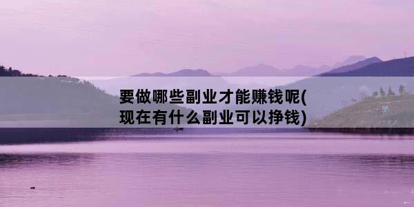 要做哪些副业才能赚钱呢(现在有什么副业可以挣钱)