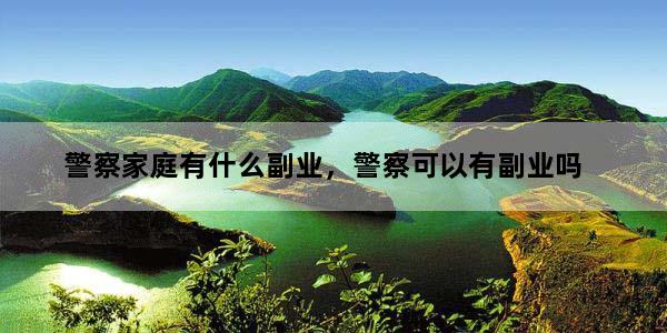警察家庭有什么副业，警察可以有副业吗
