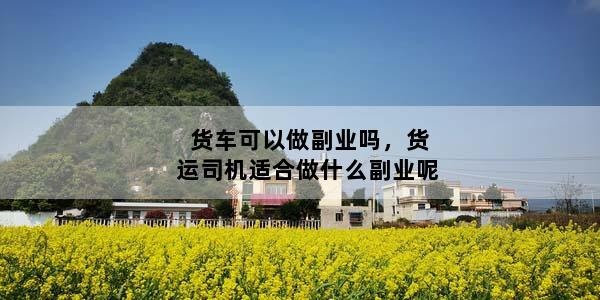 货车可以做副业吗，货运司机适合做什么副业呢