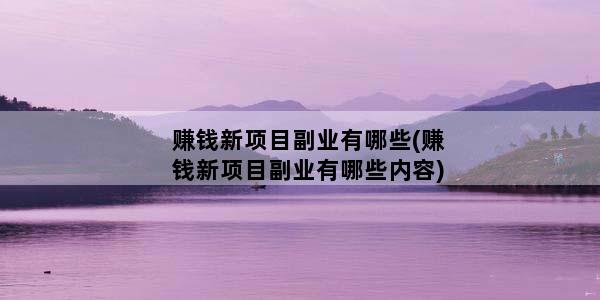 赚钱新项目副业有哪些(赚钱新项目副业有哪些内容)