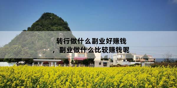 转行做什么副业好赚钱，副业做什么比较赚钱呢