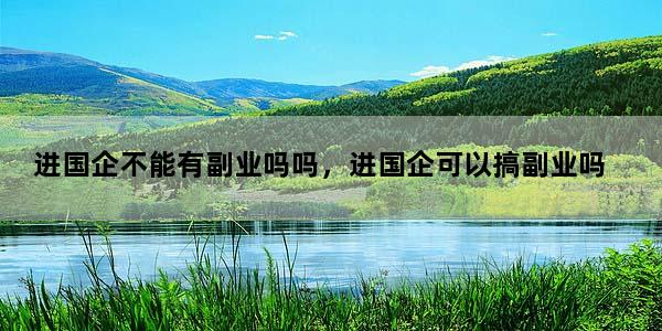 进国企不能有副业吗吗，进国企可以搞副业吗