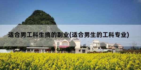 适合男工科生搞的副业(适合男生的工科专业)