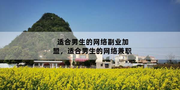 适合男生的网络副业加盟，适合男生的网络兼职