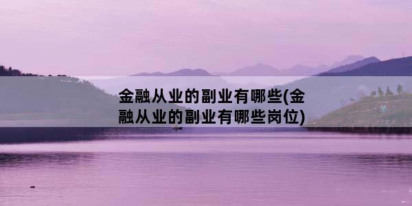 金融从业的副业有哪些(金融从业的副业有哪些岗位)