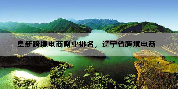 阜新跨境电商副业排名，辽宁省跨境电商