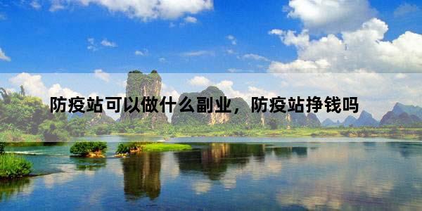防疫站可以做什么副业，防疫站挣钱吗