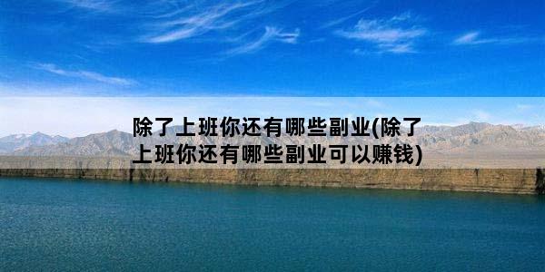除了上班你还有哪些副业(除了上班你还有哪些副业可以赚钱)