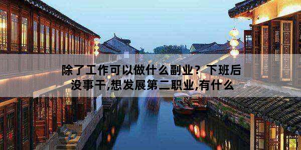 除了工作可以做什么副业？下班后没事干,想发展第二职业,有什么副业推荐
