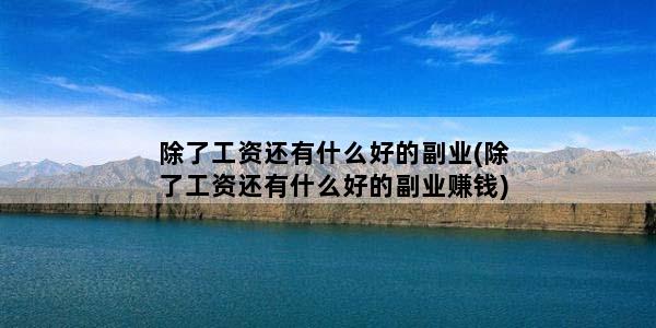 除了工资还有什么好的副业(除了工资还有什么好的副业赚钱)
