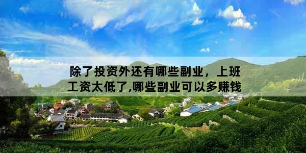 除了投资外还有哪些副业，上班工资太低了,哪些副业可以多赚钱