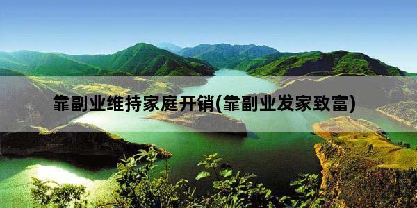 靠副业维持家庭开销(靠副业发家致富)