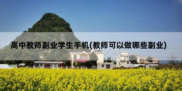 高中教师副业学生手机(教师可以做哪些副业)