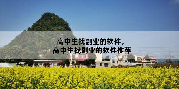 高中生找副业的软件，高中生找副业的软件推荐