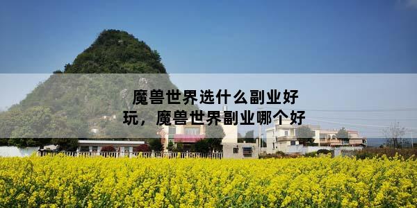 魔兽世界选什么副业好玩，魔兽世界副业哪个好