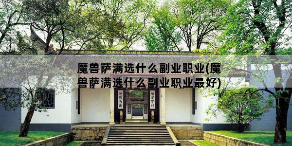 魔兽萨满选什么副业职业(魔兽萨满选什么副业职业最好)
